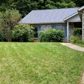 Bush Trimming by Genee Buckner reviewed on October 19, 2025