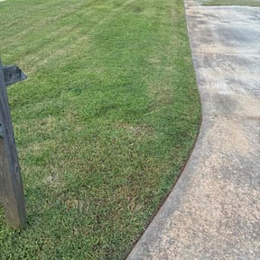 Bush Trimming by Lackawanna Property Management and Estate Services reviewed on October 22, 2025