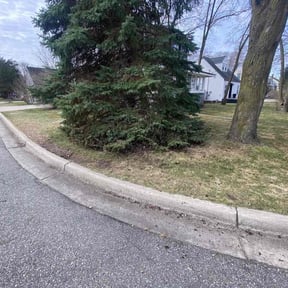 Leaf Removal by Harmony reviewed on April 8, 2026