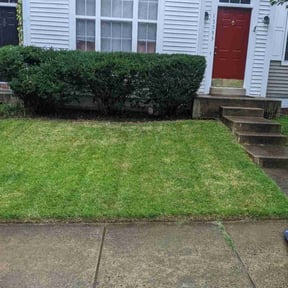 Bush Trimming by R & A landscaping reviewed on August 13, 2025