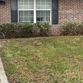 Bush Trimming by lawnstarter reviewed on March 15, 2026