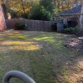 Leaf Removal by Home Care by The Beach LLC reviewed on November 23, 2025