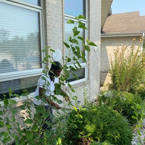 Bush Trimming by Service Masters LLC reviewed on August 19, 2025