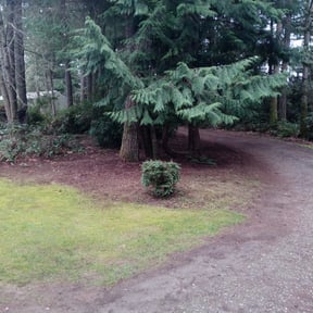 Leaf Removal by Lakeith carlyle reviewed on October 13, 2022