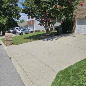 yard maintenance by Ben's Lawncare reviewed on August 13, 2025
