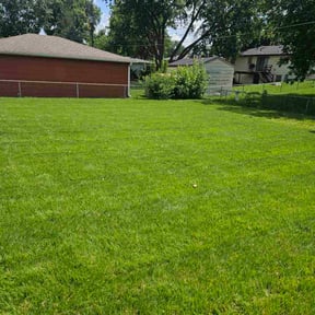 yard service by Western Landscape reviewed on June 17, 2025