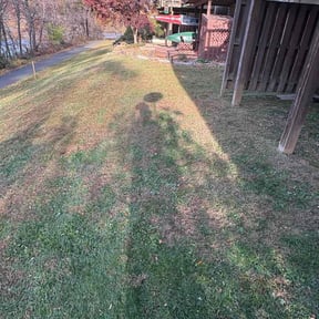 Leaf Removal by Tidewater Green reviewed on November 23, 2025