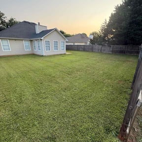 lawn maintenance by Flizzy motor reviewed on August 19, 2025