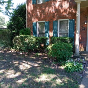 Bush Trimming by Trim Masters reviewed on August 20, 2025