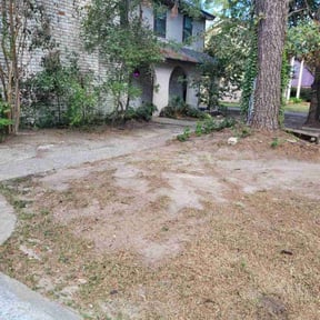 Leaf Removal by Reputable Service  reviewed on September 20, 2025