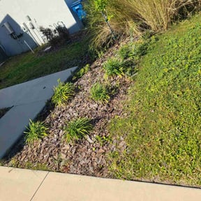 Flower Bed Weeding by CUT Tulsa Lawn Co. reviewed on November 9, 2025