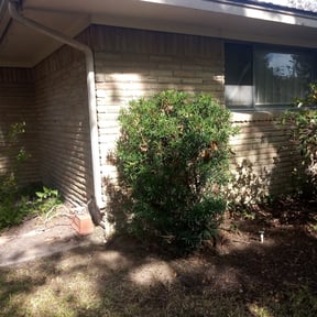 Bush Trimming by Platinum Landscape reviewed on May 14, 2023