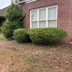 Bush Trimming by Stone Mtn Lawncare reviewed on May 2, 2026