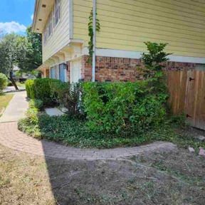 Bush Trimming by Nextdoor Lawn Services LLC reviewed on November 22, 2025
