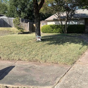 lawn service by S. Hayes lawn Maintenance reviewed on August 19, 2025