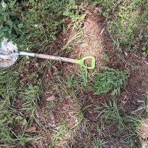 Leaf Removal by L&amp;C LANDSCAPING SERVICES reviewed on May 29, 2026