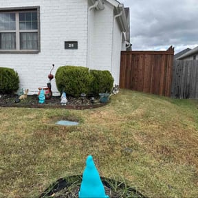 Flower Bed Weeding by 66landscaping LLC reviewed on November 21, 2025