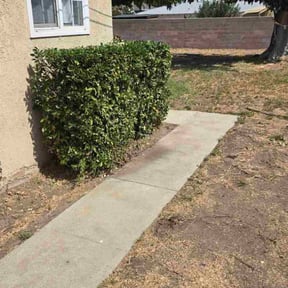 Flower Bed Weeding by G.I.F.T.D reviewed on October 24, 2025