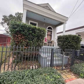 Bush Trimming by colvin property reviewed on December 30, 2025