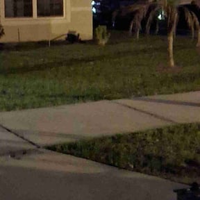 Leaf Removal by J&amp;D Lawn Care Services &amp; More LLC reviewed on March 16, 2026