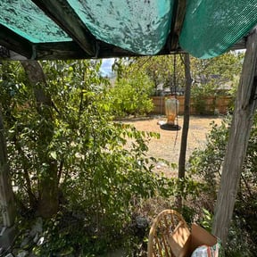 Bush Trimming by Evergreen Lawncare and Landscaping reviewed on August 24, 2026