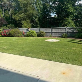 yard care by Fresh Views Lawn Service reviewed on August 18, 2025