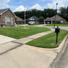 yard work by D. Nelsons Lawn Care, LLC reviewed on August 13, 2025