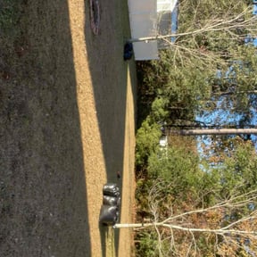 turf maintenance by Bigshotlawns reviewed on May 4, 2024