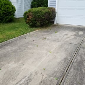 Bush Trimming by North Pearl landscaping reviewed on September 28, 2025