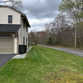 Leaf Removal by SBC Pressure Washing &amp; More LLC reviewed on June 13, 2026
