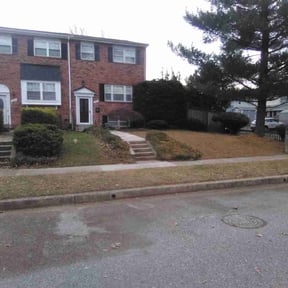 Leaf Removal by One call away reviewed on August 5, 2026