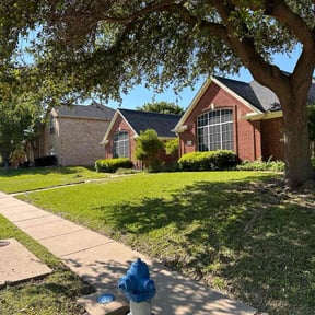 yard work by Harris Landscaping reviewed on August 20, 2025