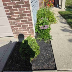 Flower Bed Weeding by Lawndudes reviewed on July 4, 2026
