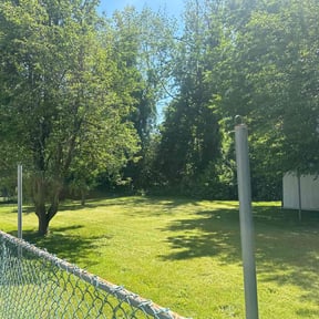 grass maintenance by Aaron's Lawn Care reviewed on April 29, 2024