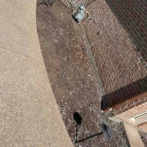 Flower Bed Weeding by Slough reviewed on March 19, 2026