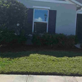 Bush Trimming by Paul and Paul lawn service and landscaping reviewed on October 23, 2025