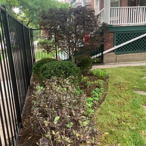 Bush Trimming by R&R Lawncare reviewed on August 18, 2025