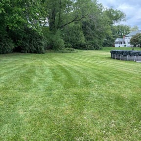 residential landscaping by Sosa's Lawn Care & Design LLC reviewed on August 18, 2025