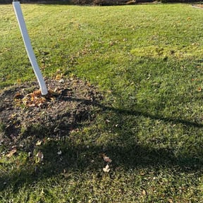 Leaf Removal by Graceful Lawn Care reviewed on December 4, 2025