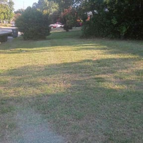 Bush Trimming by Cyclone Landscaping reviewed on June 3, 2026