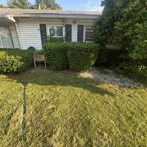 Bush Trimming by Owen Lawn Service reviewed on August 19, 2025