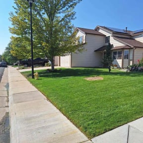 yard maintenance by R&amp;L Lawn care reviewed on November 21, 2025