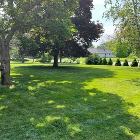 turf care by K&amp;K Green Grass reviewed on April 19, 2024