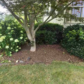 Leaf Removal by Raykay llc reviewed on September 16, 2025