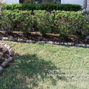Flower Bed Weeding by Major green lawn care services  reviewed on November 6, 2025