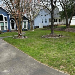 residential landscaping by Robert's Lawn Care reviewed on November 26, 2025