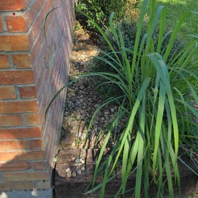 Flower Bed Weeding by BK Lawncare reviewed on November 10, 2025