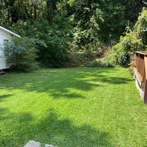 residential landscaping by C.A.N. Lawn services llc reviewed on August 19, 2025