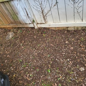 Flower Bed Weeding by Greenworx Lawn Care reviewed on August 18, 2025