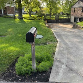 yard work by Wells Lawn care and home repair llc reviewed on February 18, 2026